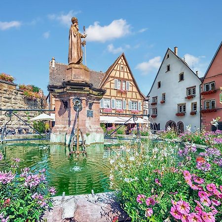 Hotel Colmar Vignes เอกิสไฮม์ ภายนอก รูปภาพ