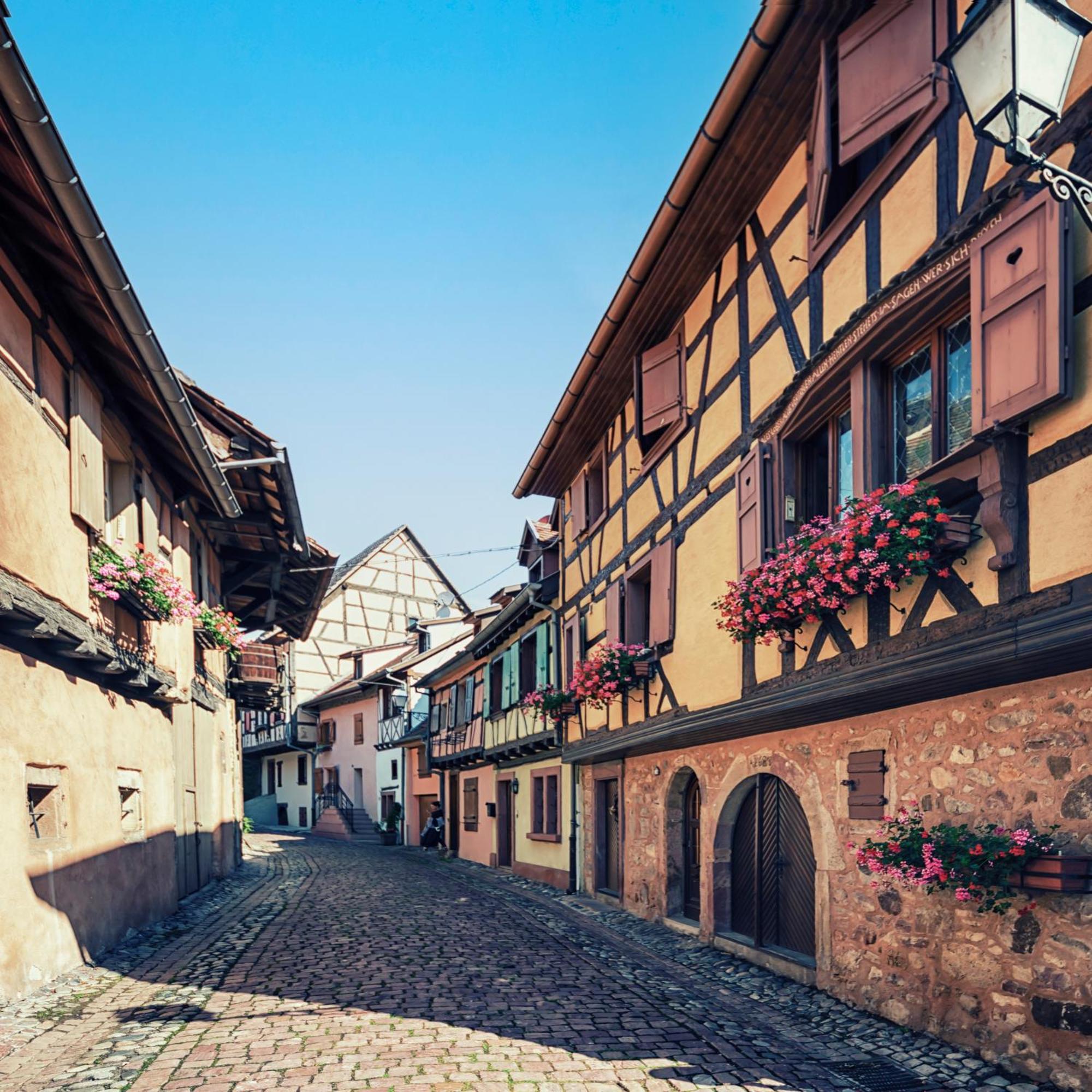 Hotel Colmar Vignes เอกิสไฮม์ ภายนอก รูปภาพ