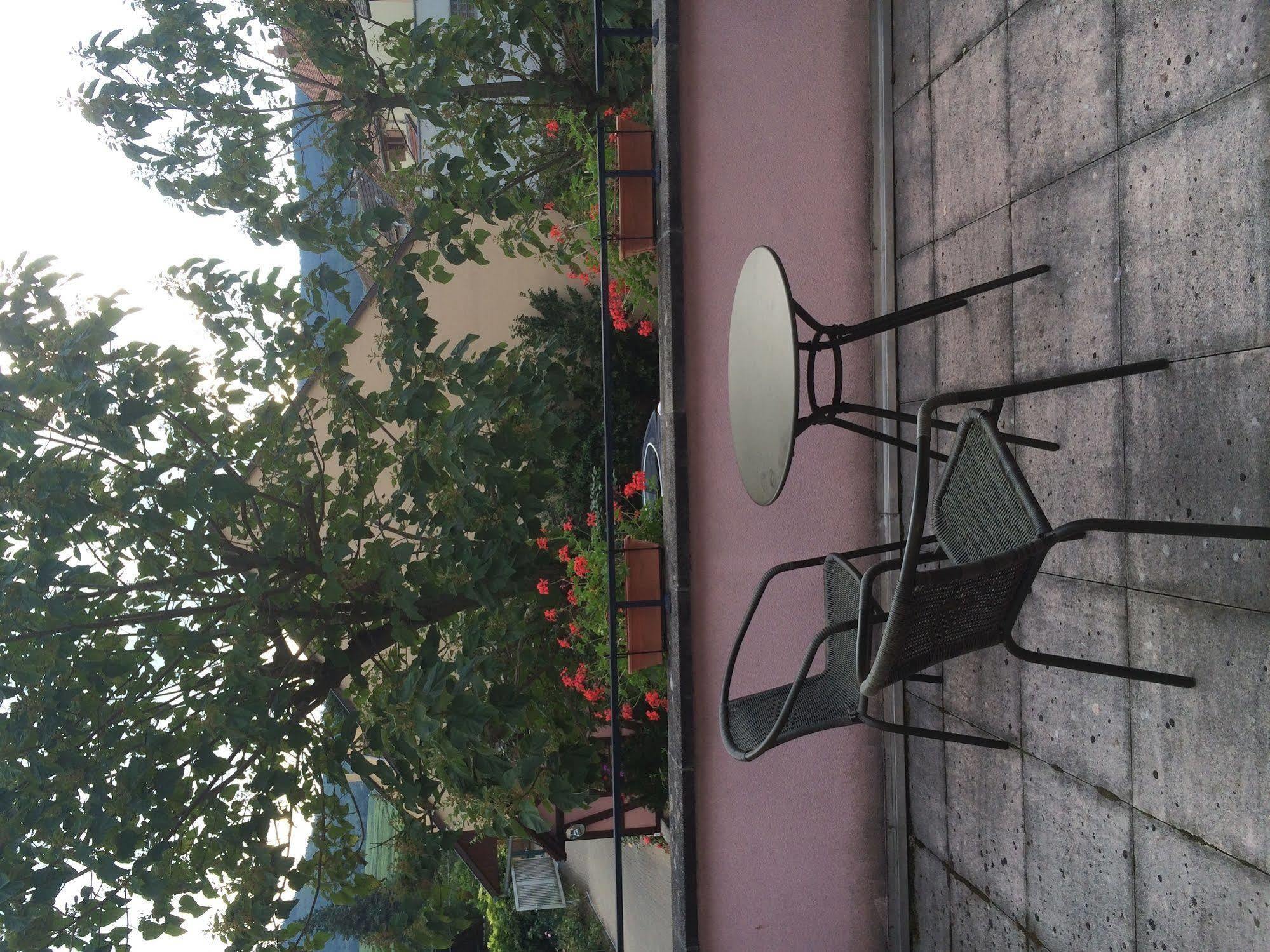 Hotel Colmar Vignes เอกิสไฮม์ ภายนอก รูปภาพ