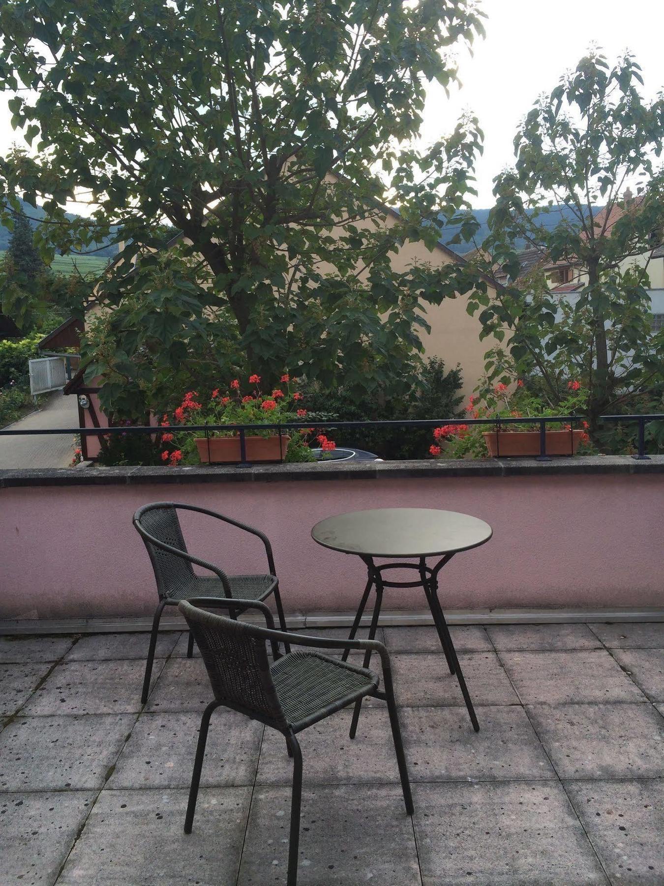 Hotel Colmar Vignes เอกิสไฮม์ ภายนอก รูปภาพ