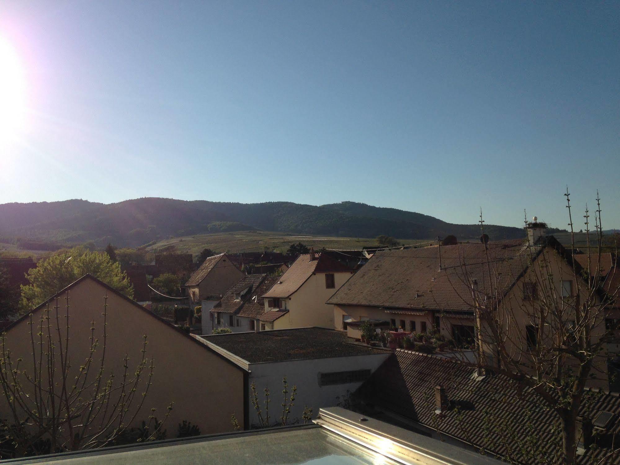 Hotel Colmar Vignes เอกิสไฮม์ ภายนอก รูปภาพ